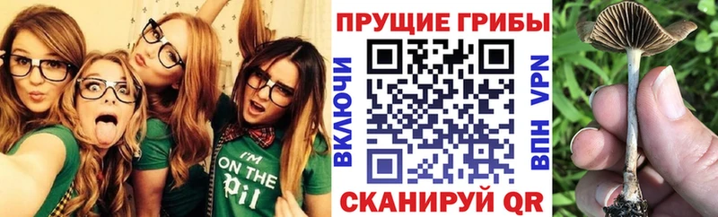 Галлюциногенные грибы GOLDEN TEACHER  Борзя 