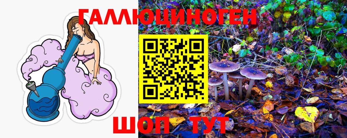 Галлюциногенные грибы GOLDEN TEACHER Борзя